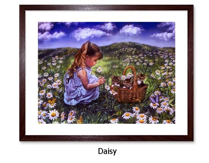 Daisy Framed Print